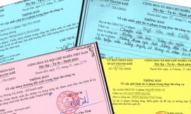 Các loại thẻ xanh, vàng, hồng được quận Thanh Khê áp dụng trong đánh giá thực thi công vụ. Ảnh: Thanh Trần.