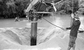 Một cơ sở sấy lúa khu vực Đồng Tháp Mười sử dụng điện trong các công đoạn hút lúa tươi từ ghe vào lò sấy và bơm lúa khô theo chiều ngược lại.