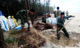 Bộ đội biên phòng hỗ trợ gia cố xử lý sạt lở bờ biển Vinh Hải. Ảnh: N. Văn