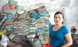 Bà Nguyễn Thị Thanh Loan.