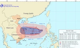 Bão số 7 có thể vào miền Trung