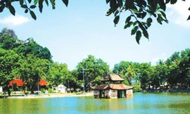 Dơi ngựa: Dị phẩm tiến vua giá bạc triệu tại Hà Thành