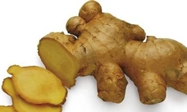 Gừng – Vị thuốc thần kì từ thiên nhiên