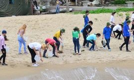 Don vệ sinh quanh Sơn Trà.