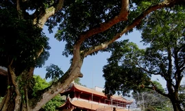 Chùa Thanh Mai ở xã Hoàng Hoa Thám, thị xã Chí Linh, tỉnh Hải Dương. Ảnh: Giang Chinh