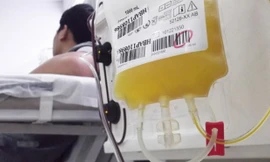 Tiểu cầu sau khi được hiến chỉ sử dụng trong vòng 5 ngày