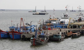14 tàu thuyền ở Cửa Việt đã được huy động tìm kiếm ngư dân Nam bị mất tích trên biển. Ảnh: H.T