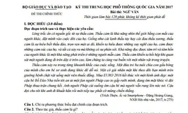 Nhân đọc đề thi Văn THPT 2017: Tôi không “thấu cảm”!