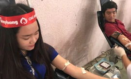 Lực lượng sinh viên Đại học Quảng Bình chiếm hơn 2/3 lượng máu được hiến tặng