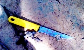 Ảnh minh họa. Nguồn: Tienphong.vn