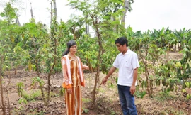 Mẹ con bà Khoa chỉ chỗ ủi đường lấn đất