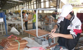 NLĐ điêu đứng vì bị DN trục lợi BHXH. Ảnh: Phong Cầm