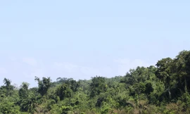 Khu “rừng ma” của bản Pa Roi nằm sát bên dòng sông Se Pon