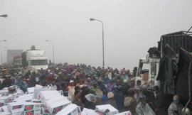 Người hôi của – họ đang ở đâu trong thuyết tiến hóa?