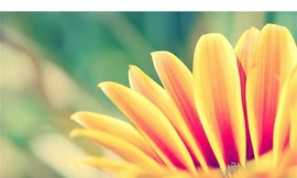 Tháng 6 của bạn