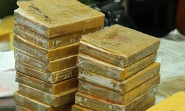 Ảnh minh họa. Nguồn: Tuấn Nguyễn