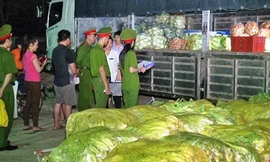 Nghệ An: Rau quả nhập từ Trung Quốc dương tính với thuốc bảo quản