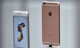 Tình nguyện viên hiến tinh trùng sẽ nhận được quà tặng là iPhone 6s.