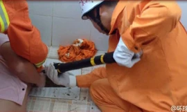 Lính cứu hỏa phá bồn cầu cứu nạn nhân bị mắc kẹt trong nhà vệ sinh.