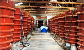 Bộ Nội vụ tiếp tục lập đoàn thanh tra Vinastas vụ công bố chất lượng nước mắm nhiễm arsen.