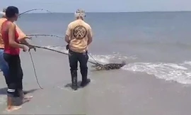 Hình ảnh cắt từ clip