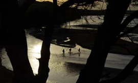 Con người được cho là phát triển ở đông Phi nhờ cảnh quan chuyển từ rừng thành đồng cỏ.