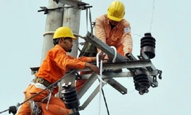 EVN lỗ nghìn tỷ do chênh lệch tỉ giá?