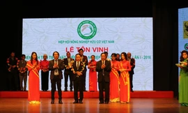 Đại diện của tập đoàn TH nhận cúp Vàng cho Trang trại bò sữa hữu cơ Vì sức khỏe cộng đồng