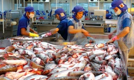 Thượng viện Mỹ hủy bỏ chương trình giám sát cá da trơn