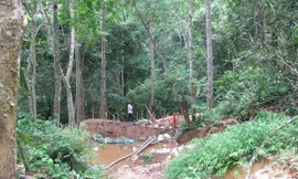 Khai thác vàng trái phép tại bản Kịt làm tan hoang cánh rừng. Ảnh: Hoàng Lam