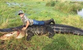 Xác cá sấu bắt được trong ao nước thuộc trang trại Outwest Farms.