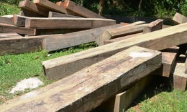 Phát hiện 63 tấm gỗ lậu ngụy trang dưới vỏ bao xi măng