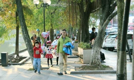 Hà Nội tiếp tục nắng đẹp ngày hôm nay (11/2) (ảnh: Nguyễn Dương)