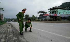 Cơ quan chức năng dựng lại hiện trường để điều tra "đinh tặc"