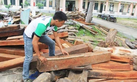 Hai khúc gỗ bị bắt.