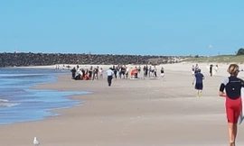 Bãi biển xảy ra vụ cá mập tấn công thiếu niên lướt sóng.