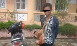 Xôn xao hình ảnh 'đạo chích' bị trói tay, treo gà vào cổ