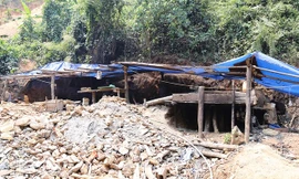 Từ sau Tết Nguyên đán Bính Thân 2016, vàng tặc khai thác rầm rộ tại thôn Tân Đi 3 (xã A Vao, Đăkrông, Quảng Trị). Từ trụ sở UBND xã A Vao, đi xe máy khoảng 30 km là đến thôn Tân Đi 3. Từ đây, lội bộ ngược dòng suối Pa Ka chừng một tiếng là tiếp cận được c