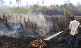 Cháy rừng U Minh Hạ lan xuống cả lớp than bùn