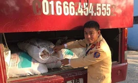 Thu giữ 1 tấn nội tạng động vật thối rữa cùng 10 con chim lạ 