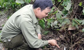 Cơ quan chức năng đang khoanh vùng hiện trường vụ án (ảnh HV).