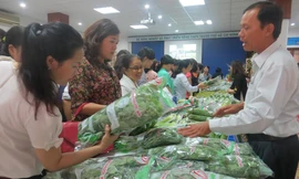 Những phiên chợ nông sản an toàn luôn thu hút người tiêu dùng