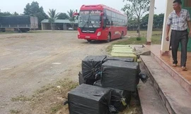 Số lượng nhộng tằm bị CQĐT thu giữ