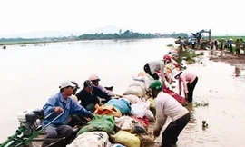 Ngập lụt và lũ quét do mưa lớn