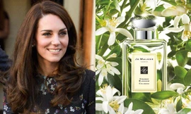 Những mùi nước hoa được Hoàng gia Anh và hai nàng dâu Kate - Meghan ưa chuộng