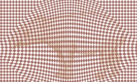 Hãy tinh mắt soi ra bí mật ẩn giấu bên trong 5 bức hình ảo ảnh thị giác này