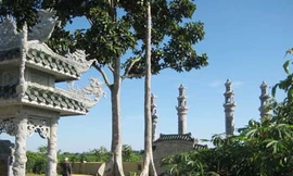 Cây bộp ở mộ tổ họ Thân làng An Lỗ . Ảnh: Thân Trọng Ninh