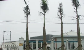 7 nhà máy được xây dựng trong khi khu công nghiệp chưa có hệ thống xử lý chất thải Ảnh: Minh Tuấn