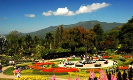 Ngao du thiên hạ thưởng ngoạn hoa