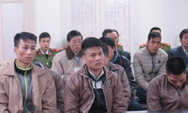 Các bị cáo trong băng nhóm chuyên trộm gỗ sưa.